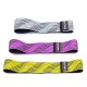 Набор Hip Bands GoFLEX Fashion