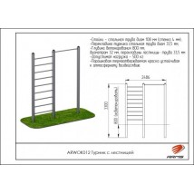 Турник с лестницей ARWOK012